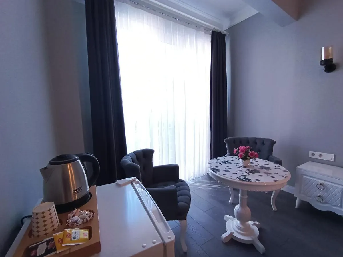 Little Palace Blue Apartment 伊斯坦布尔 土耳其