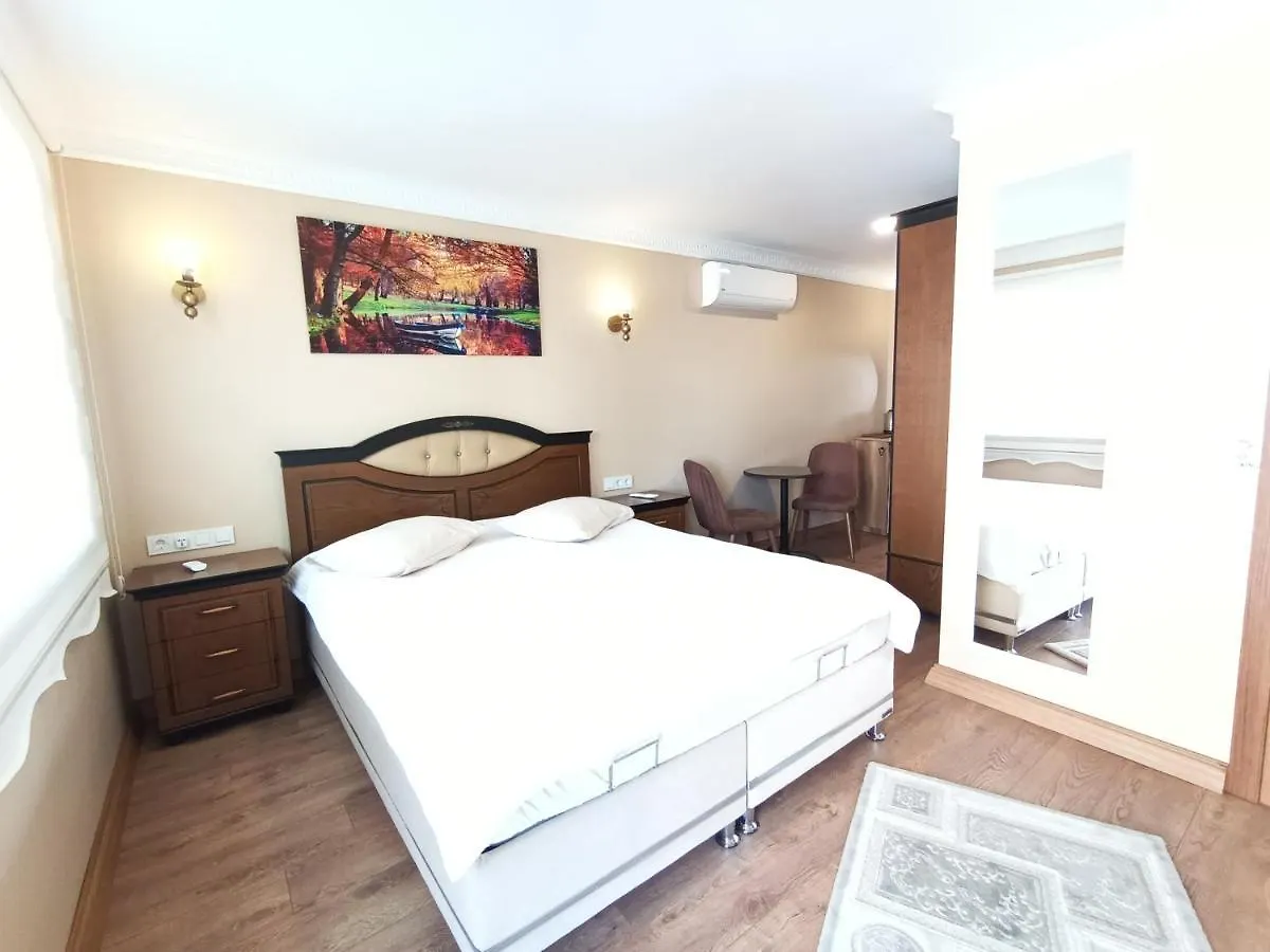 Little Palace Blue Apartment 伊斯坦布尔 酒店