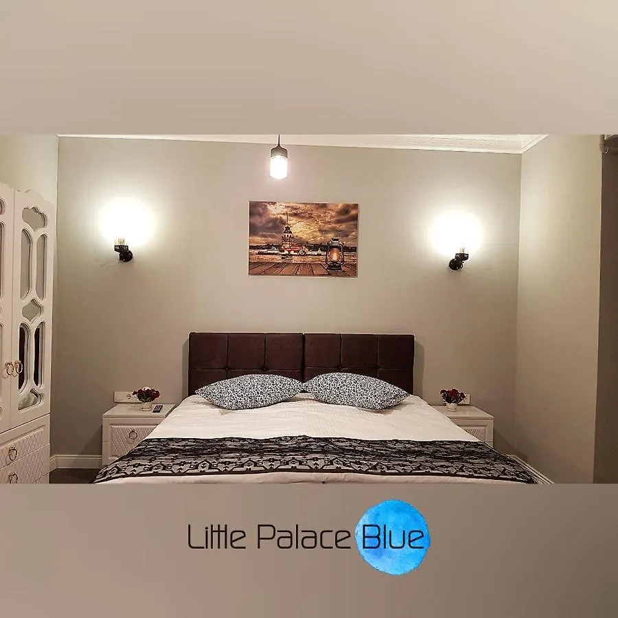 Little Palace Blue Apartment 伊斯坦布尔 土耳其