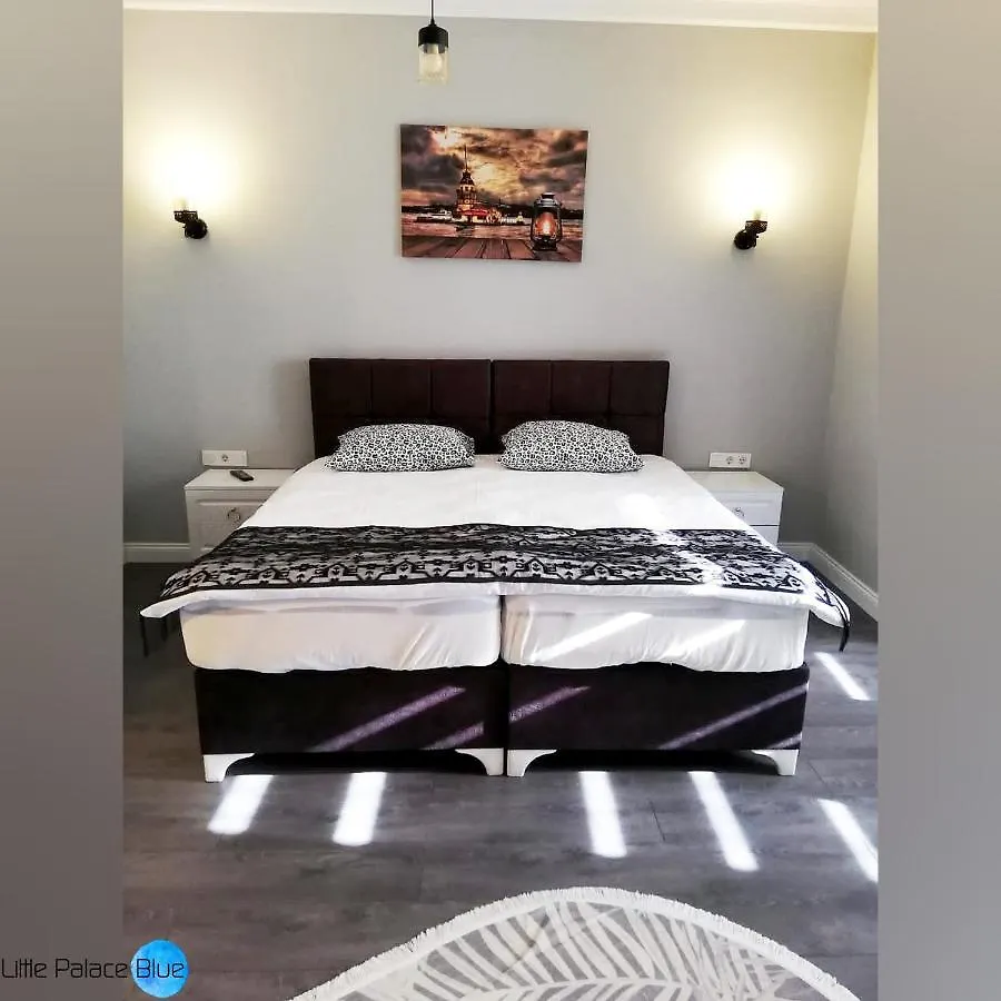 Little Palace Blue Apartment 伊斯坦布尔 2*,