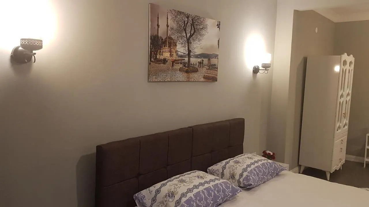 酒店 Little Palace Blue Apartment 伊斯坦布尔