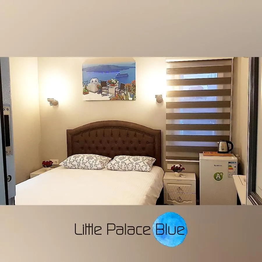 Little Palace Blue Apartment 伊斯坦布尔
